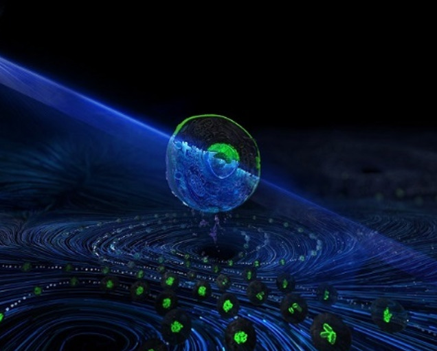 امکان پذیر شدن مرتب‌سازی سلولی با سرعت بالا توسط تکنیک فلوسایتومتری